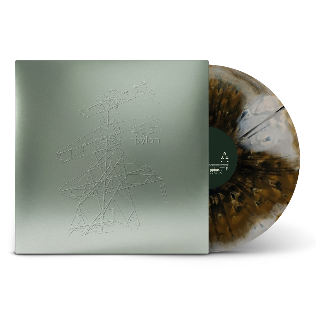 Pylon-Exclusive-Foil-Sleeve-Bird-Shit-Vinyl-